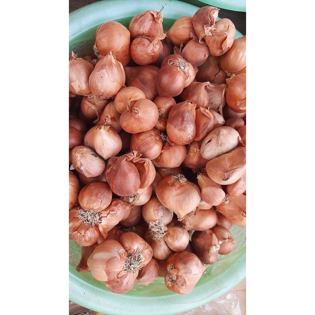 1kg hành ta khô chắc củ thơm để được lâu