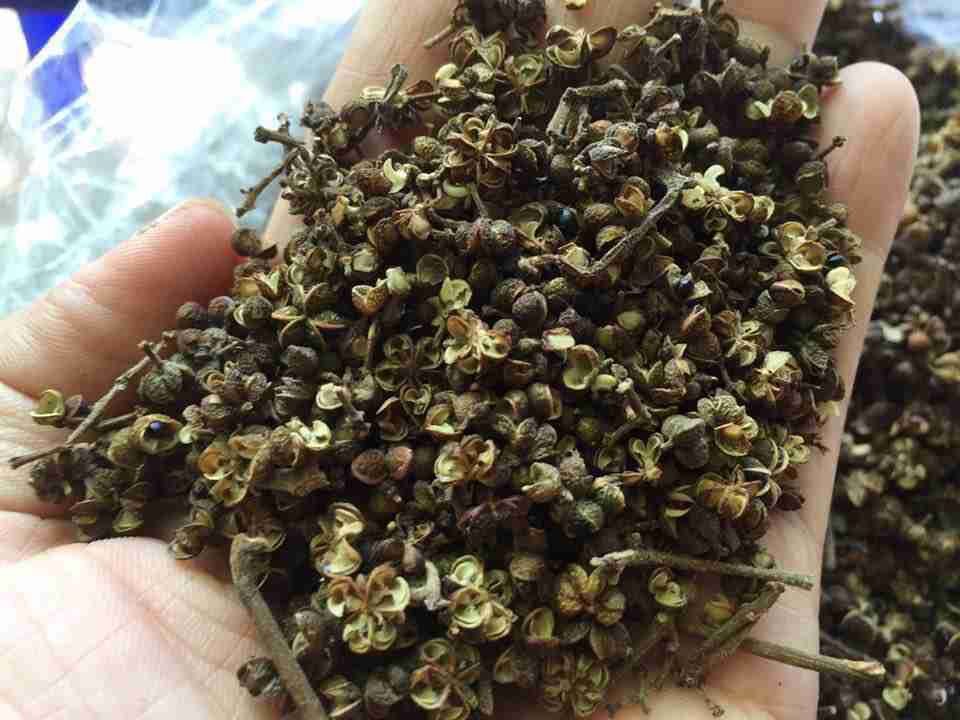 Combo mắc khén + hạt dổi siêu hời tặng ngay chẳm chéo tây bắc