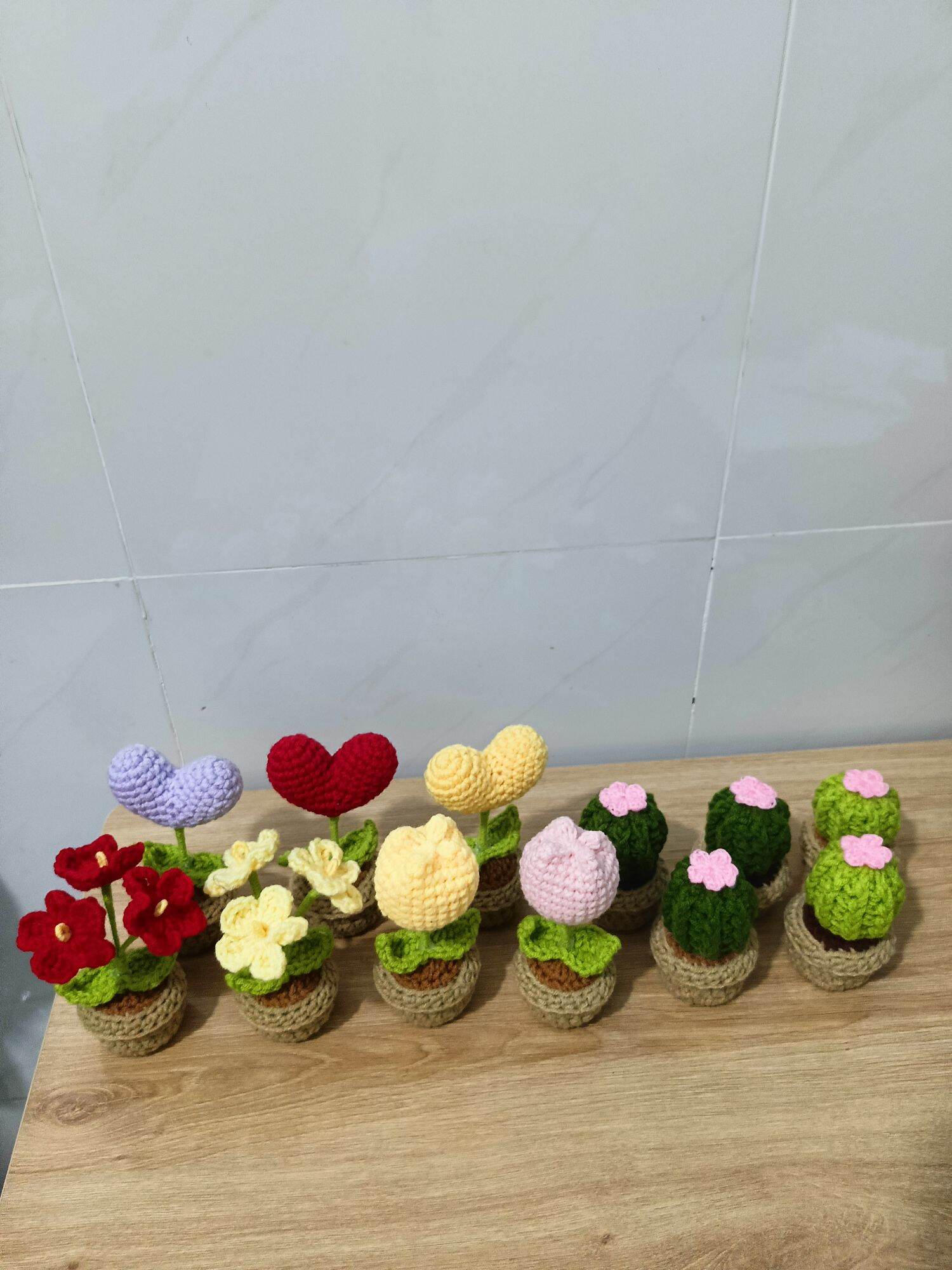 Chậu hoa mini xinh xắn