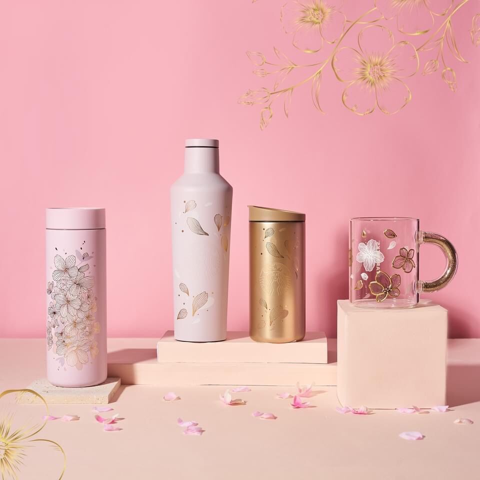 BÌNH STARBUCKS SAKURA