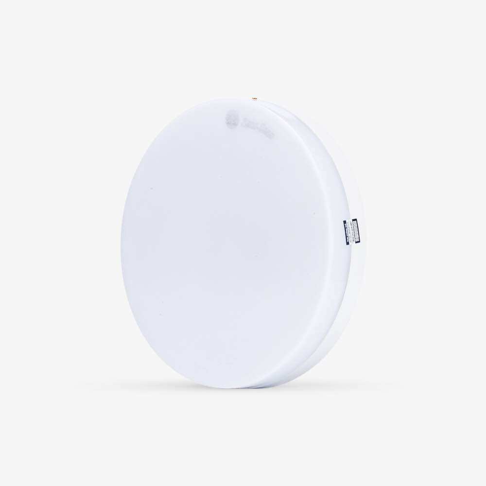 Bóng đèn ốp trần LN12 30W Rạng Đông