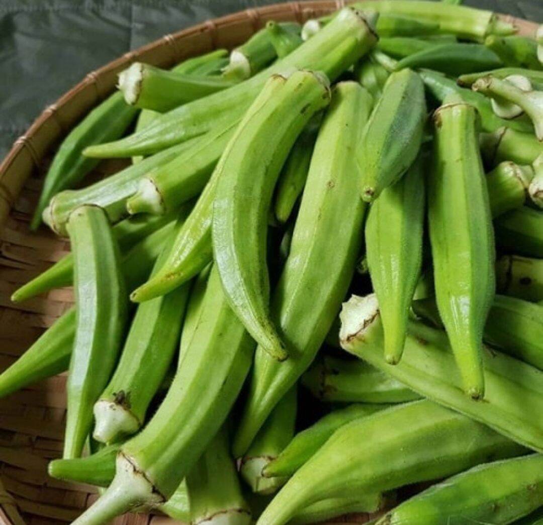 Đậu bắp tươi-1Kg
