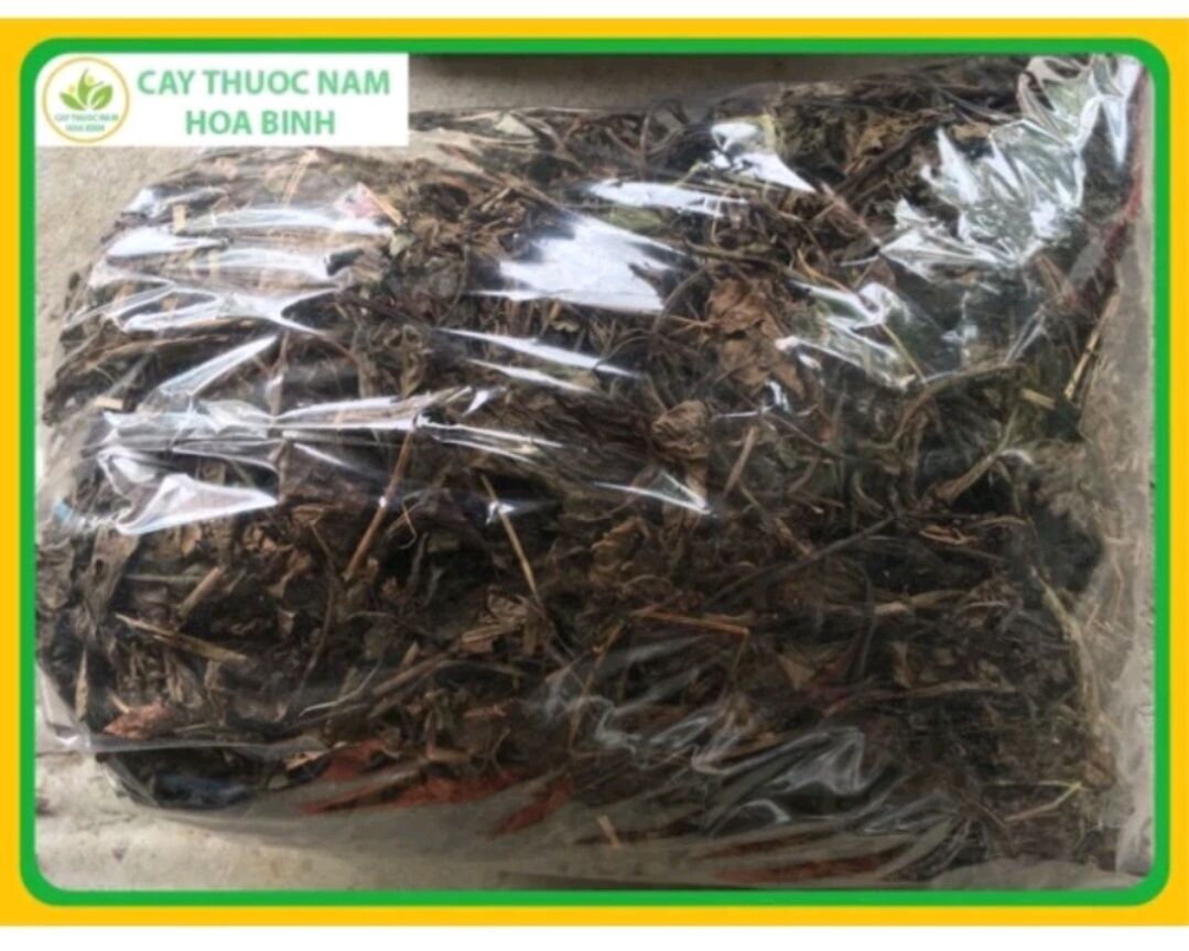 [ GIÁ SỈ ] 1Kg cây MÃ ĐỀ khô thơm sạch _ md01