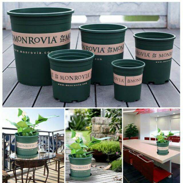 Chậu nhựa trồng cây Monrovia 5GAL