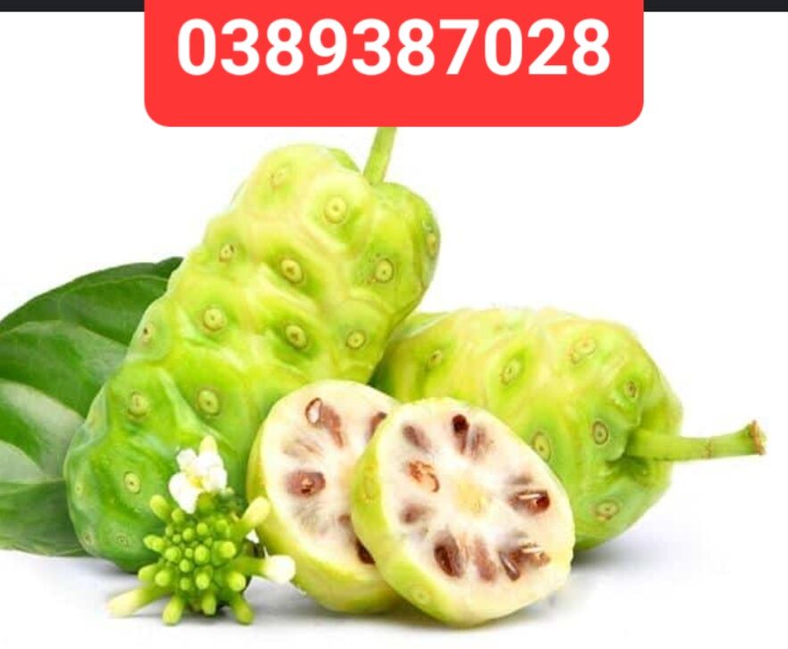 Trái nhàu tươi,1kg