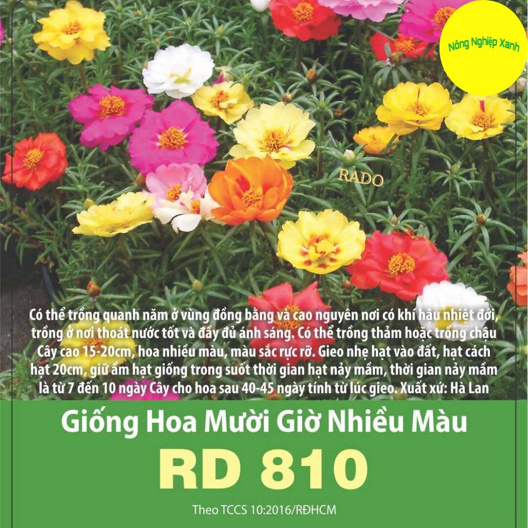 Hạt giống hoa mười giờ nhiều màu rado 810