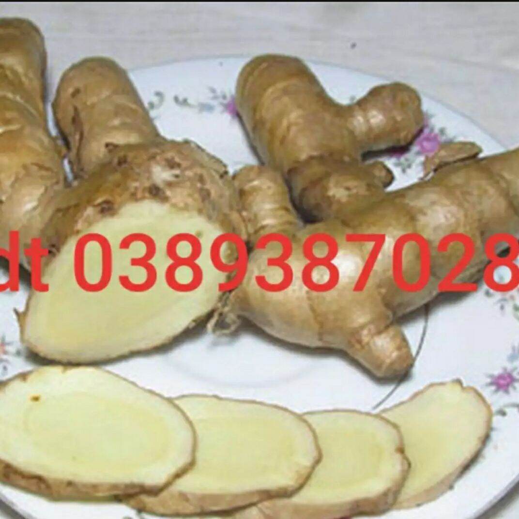 Nghệ trắng tươi 200g