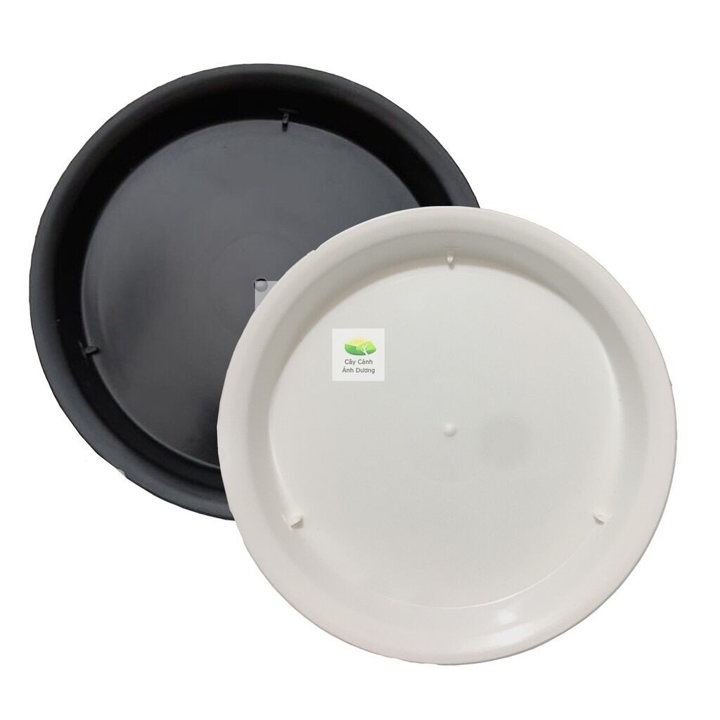 Combo đĩa lót chậu size lớn