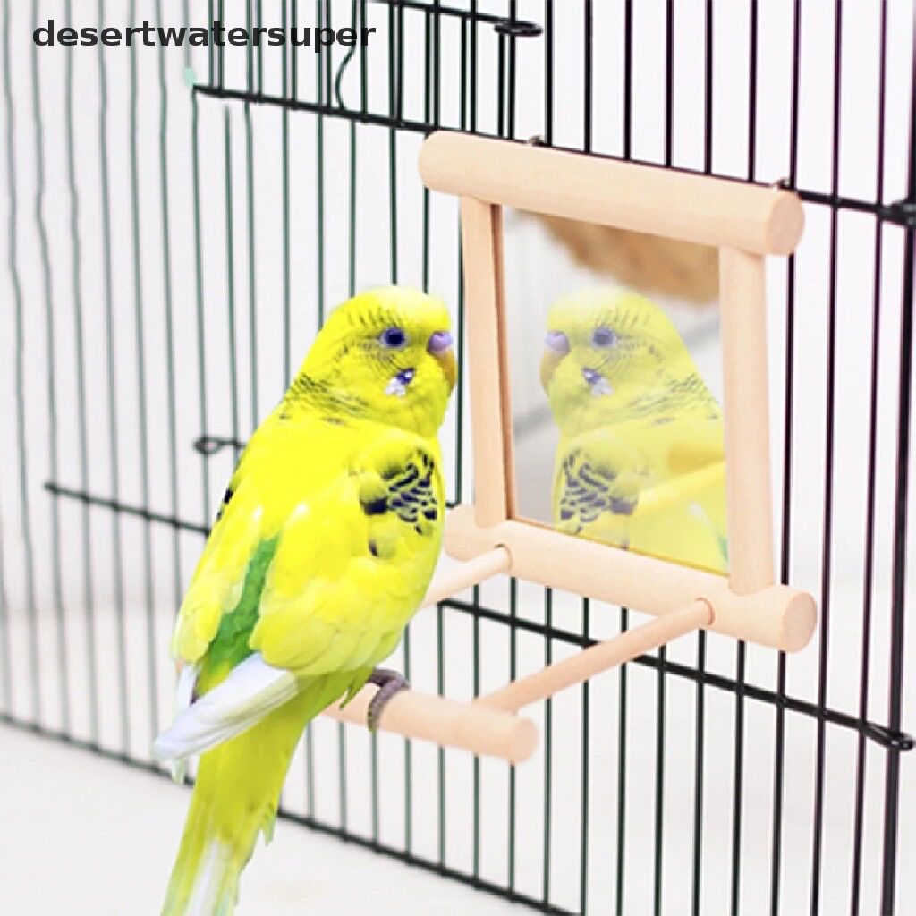 Gương treo trang trí lồng chim vẹt .