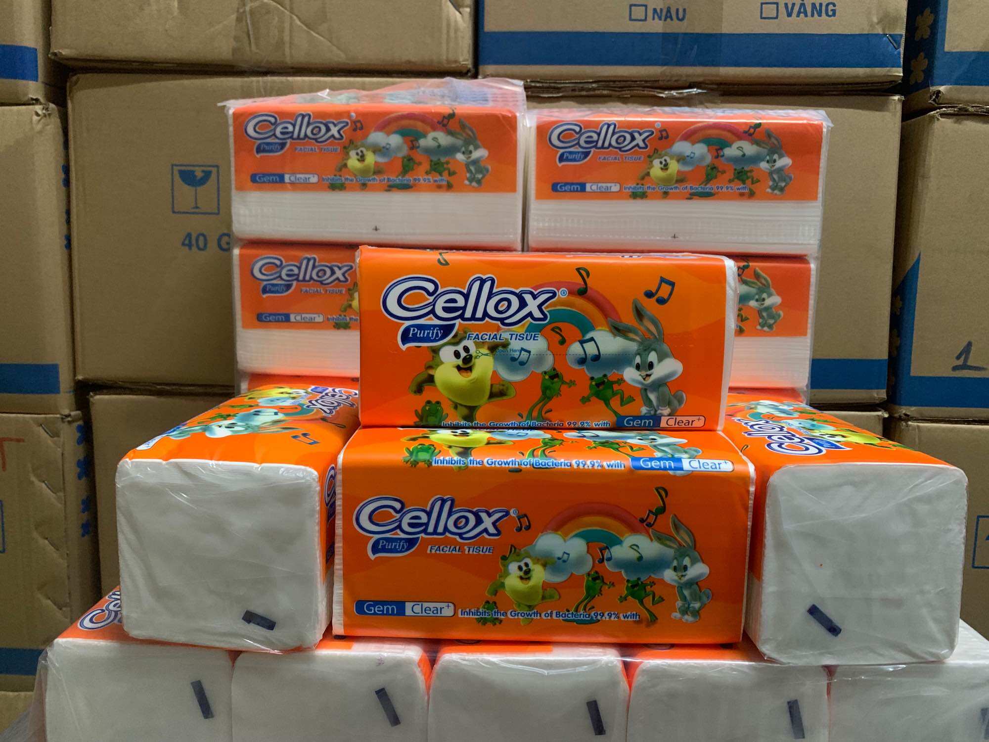 GIẤY RÚT LỤA CAO CẤP CELLOX 260 TỜ 3 LỚP [ GIẤY THÁI]MỀM MỊN VÀ DAI