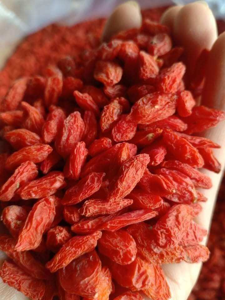 500g Kỷ Tử Đỏ Sấy Khô Thơm ngon bổ dưỡng cho mọi người