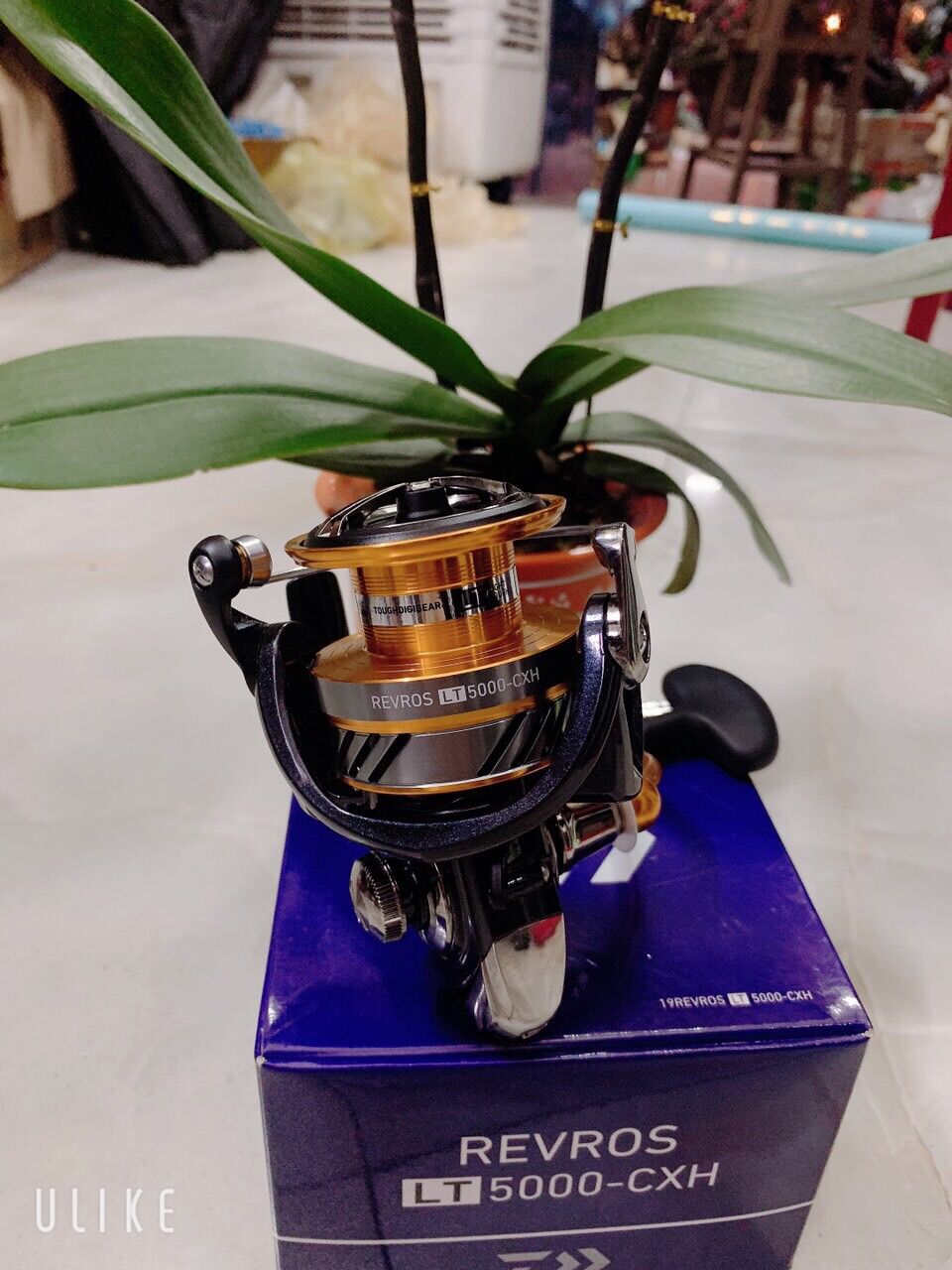 Máy câu Daiwa Revros TG