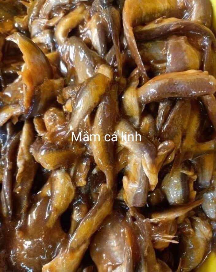 Mắm cá linh