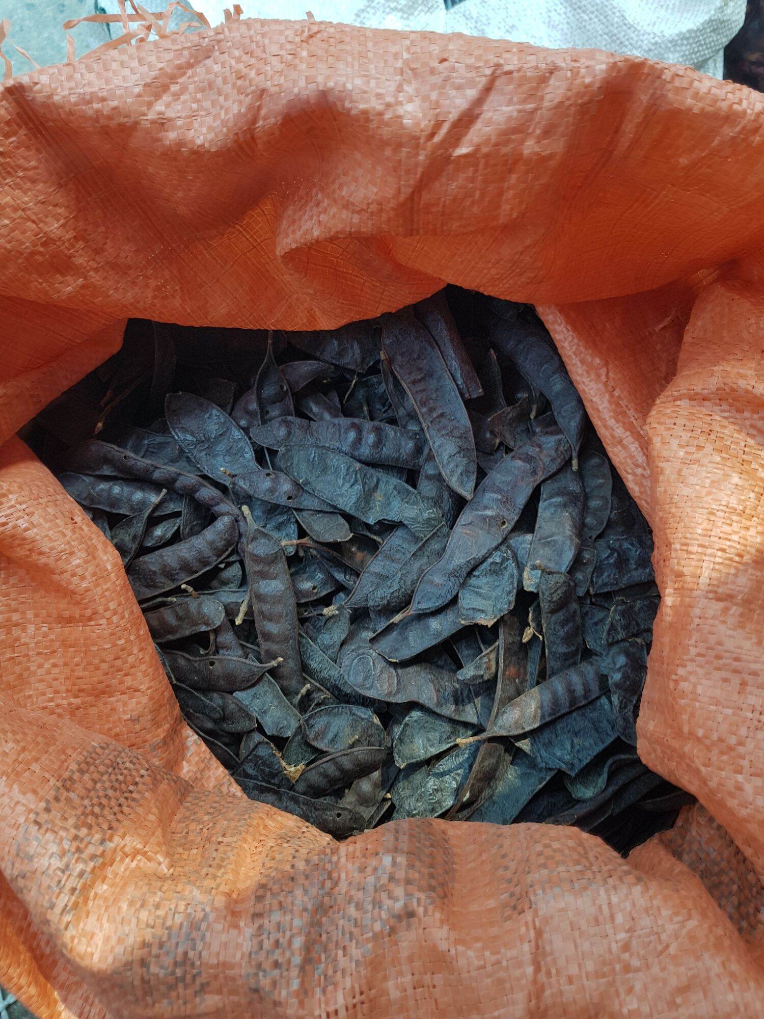 1kg quả bồ kết khô