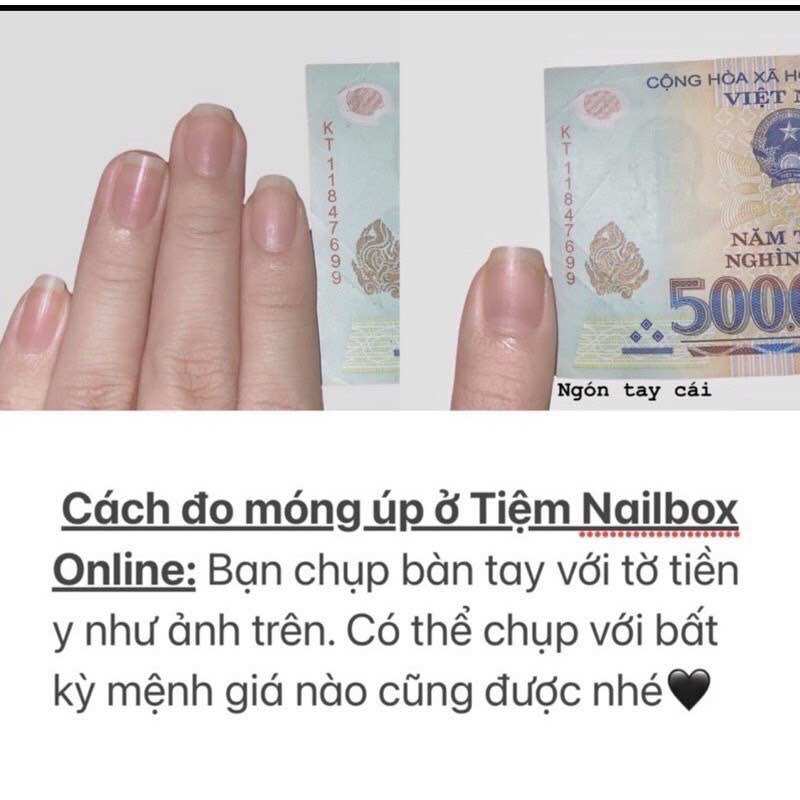 Nailbox tiểu thư tông thạch-trắng H894