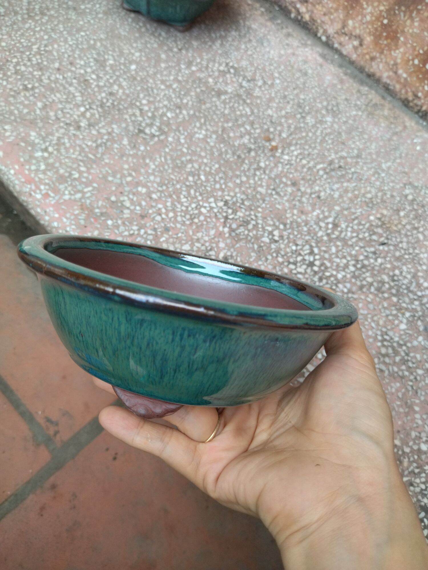 chậu tròn bonsai, trồng sen đá