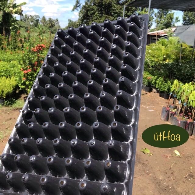 (Siêu bền chắc) Khay ươm hạt 32,50,72,105,200 lỗ