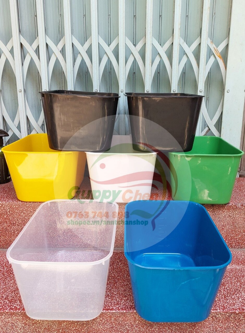 Thùng khay chữ nhật 7 lít cho cá cảnh kích thước 30x20x16cm