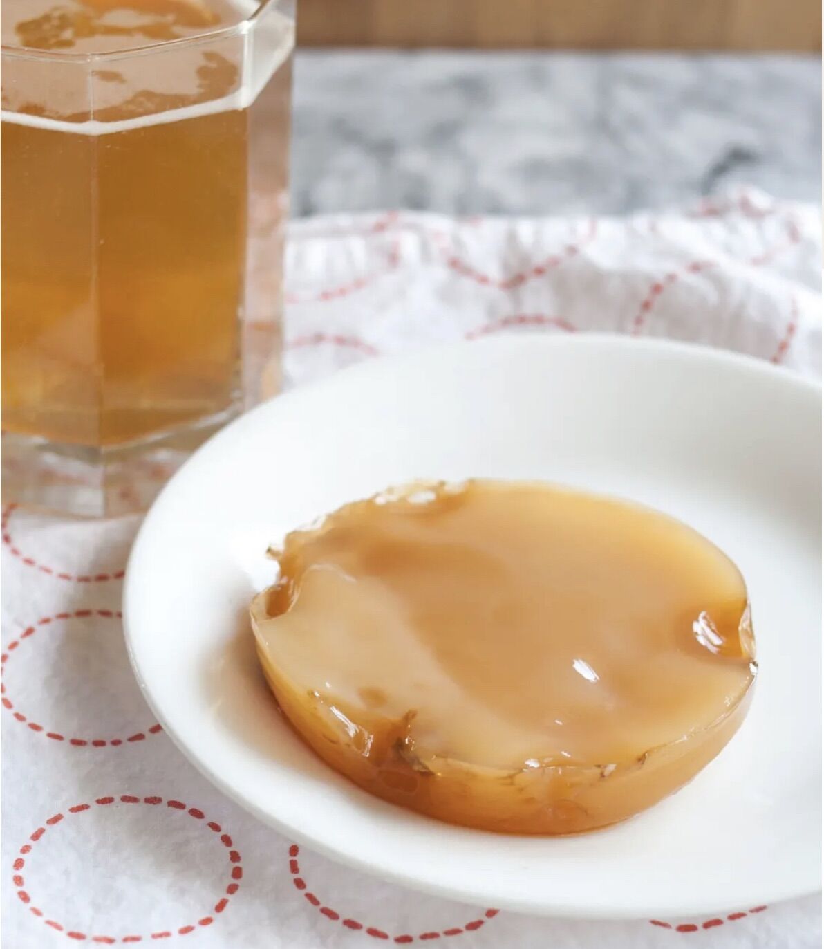 Con nấm Scoby - làm trà Kombucha - nấm Trường Sinh