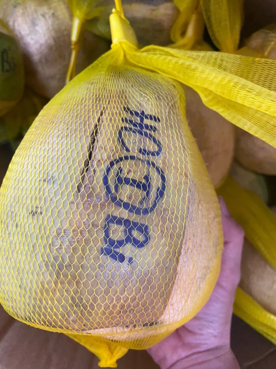 Dừa sáp