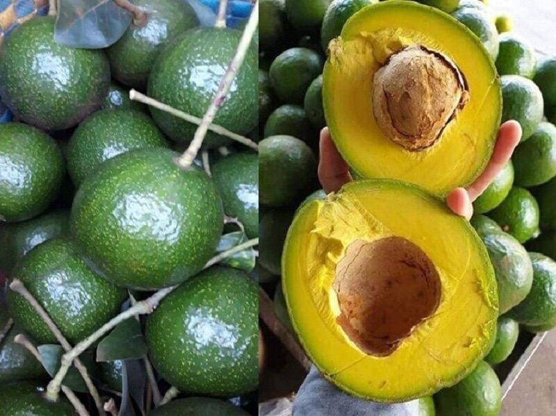 Leaf fertilizer for fast-cooked HPC-97 HXN Fruit