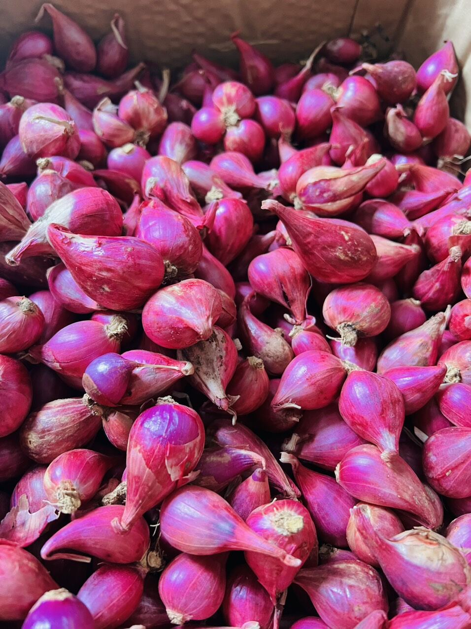 Hành tím ninh thuận 500g