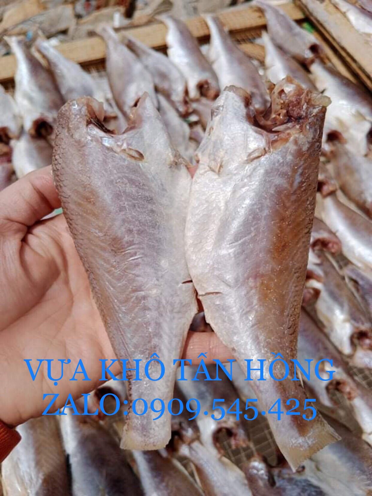 Khô đù 1 nắng long hải size 10-15c/ký