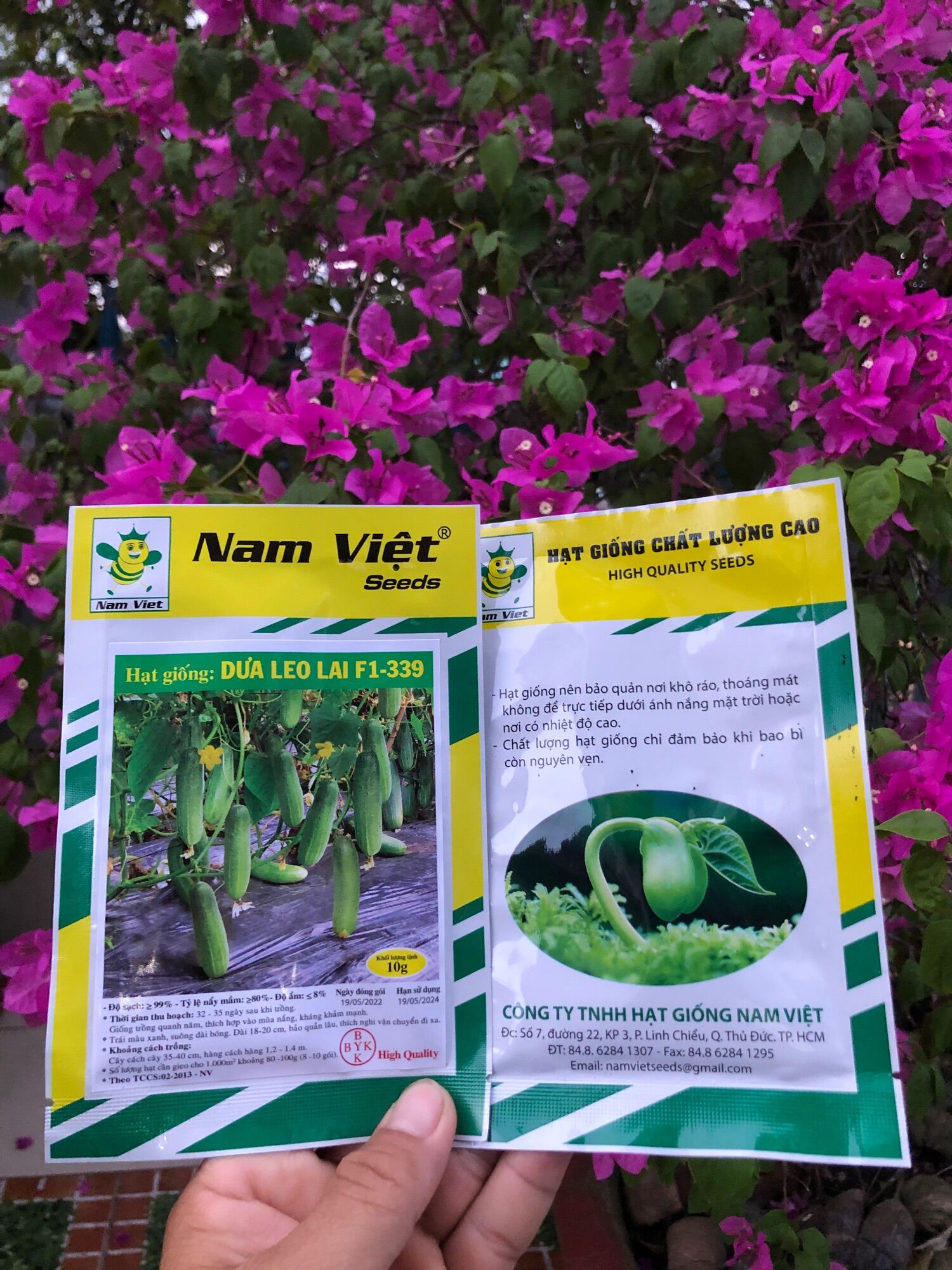 Hạt giống dưa leo lai F1 339 goi 10gr nam việt