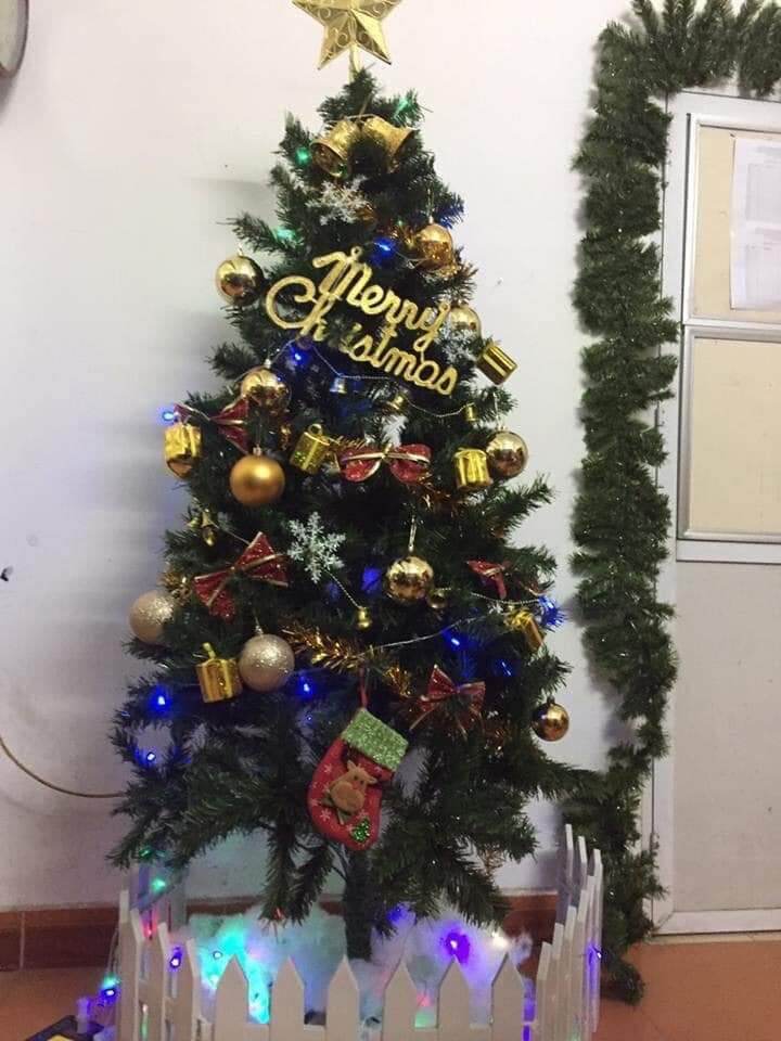 CÂY THÔNG NOEL 1,5M TẶNG PHỤ KIỆN