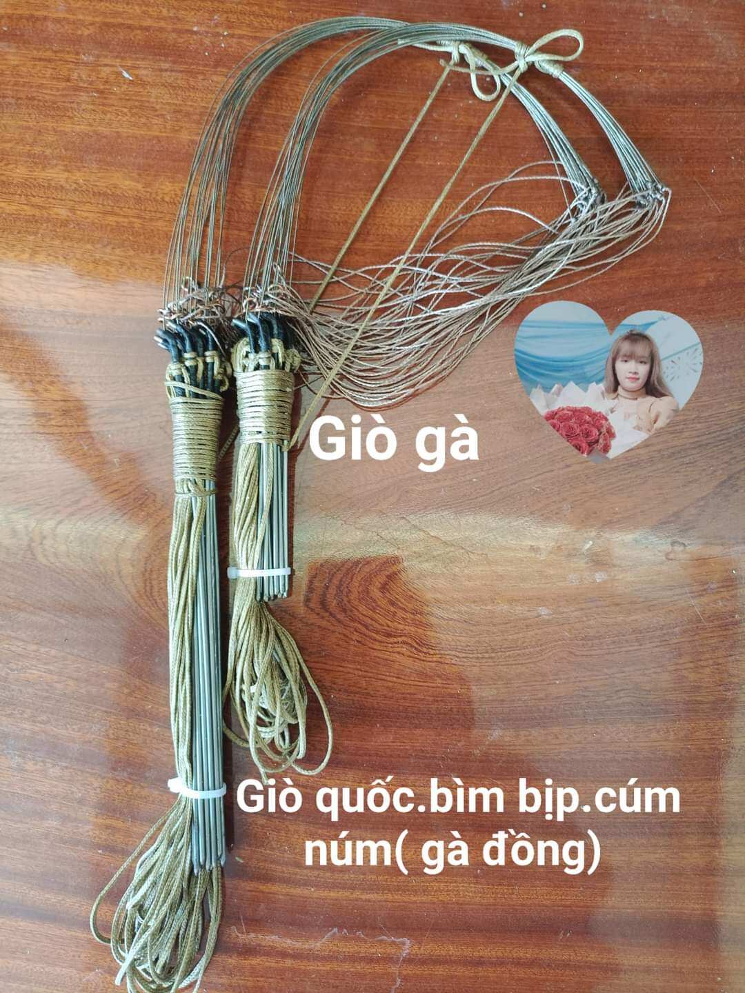Bộ giò chuyên Quốc bìm bịp cúm núm (gà đồng) - Phụ kiện chăm sóc thú cưng nhỏ