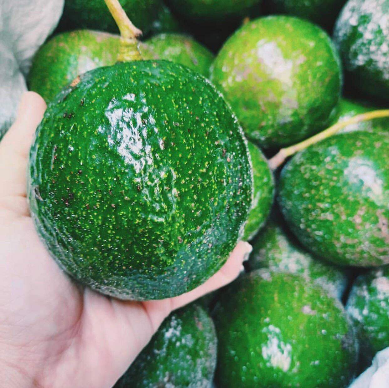 Bơ Booth Đà Lạt