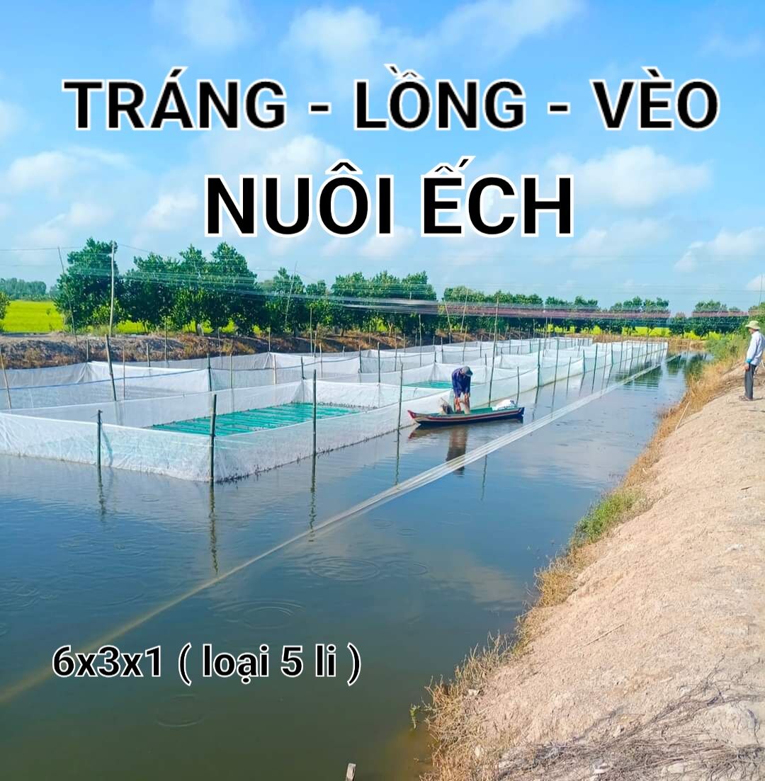 Tráng lồng vèo nuôi ếch chuyên nghiệp 6x3x1 loại 5li - lưới thái trắng