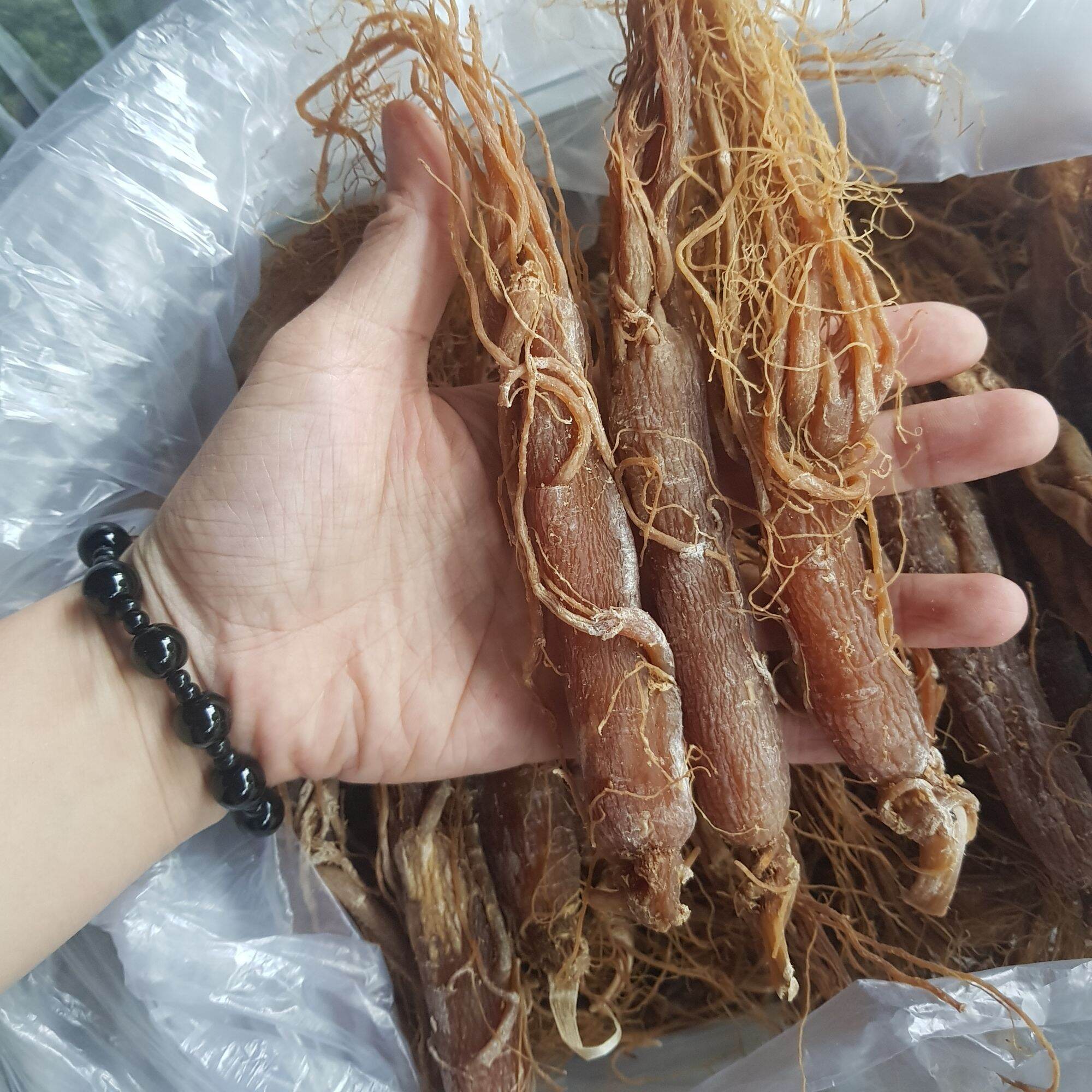 100gr Nhân Sâm, Hồng sâm khô