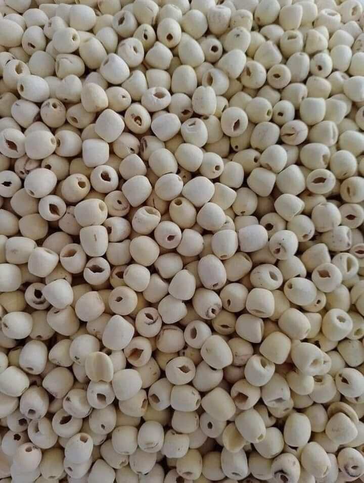 Hạt sen lụa sấy khô 1kg  C1- Chỉ bán loại 1 (Trắng 2 đầu)