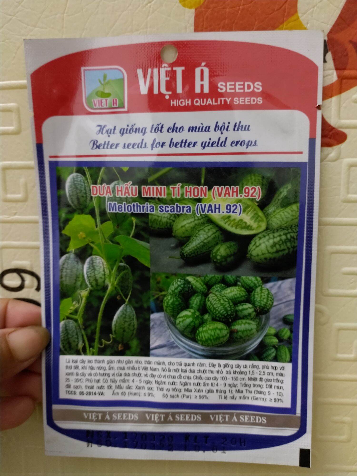 Hạt giống dưa hấu mini tí hon
