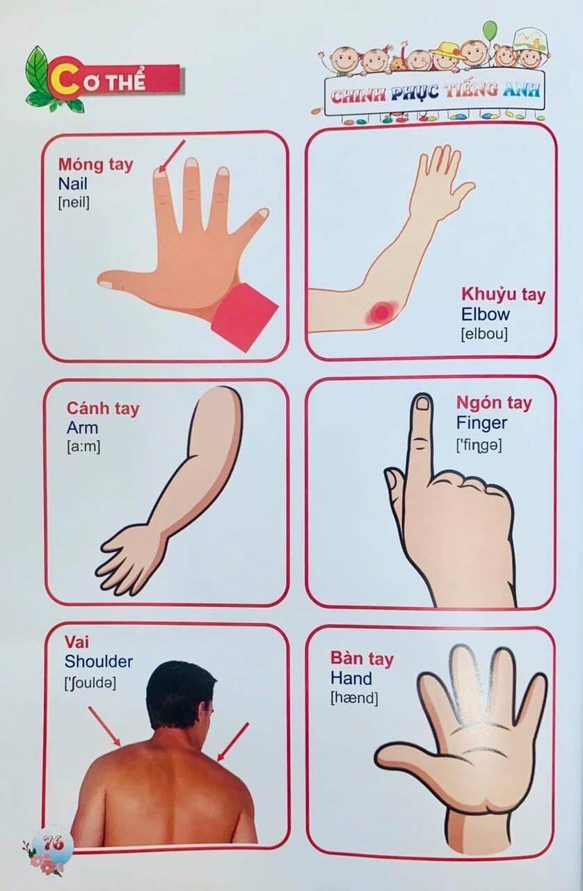 SÁCH - Bé chinh phục tiếng anh