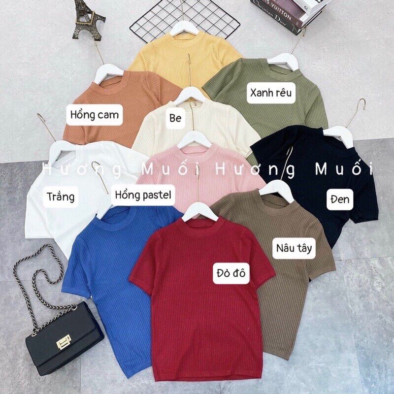 3029. ÁO THUN LEN GÂN TAY NGẮN BASIC