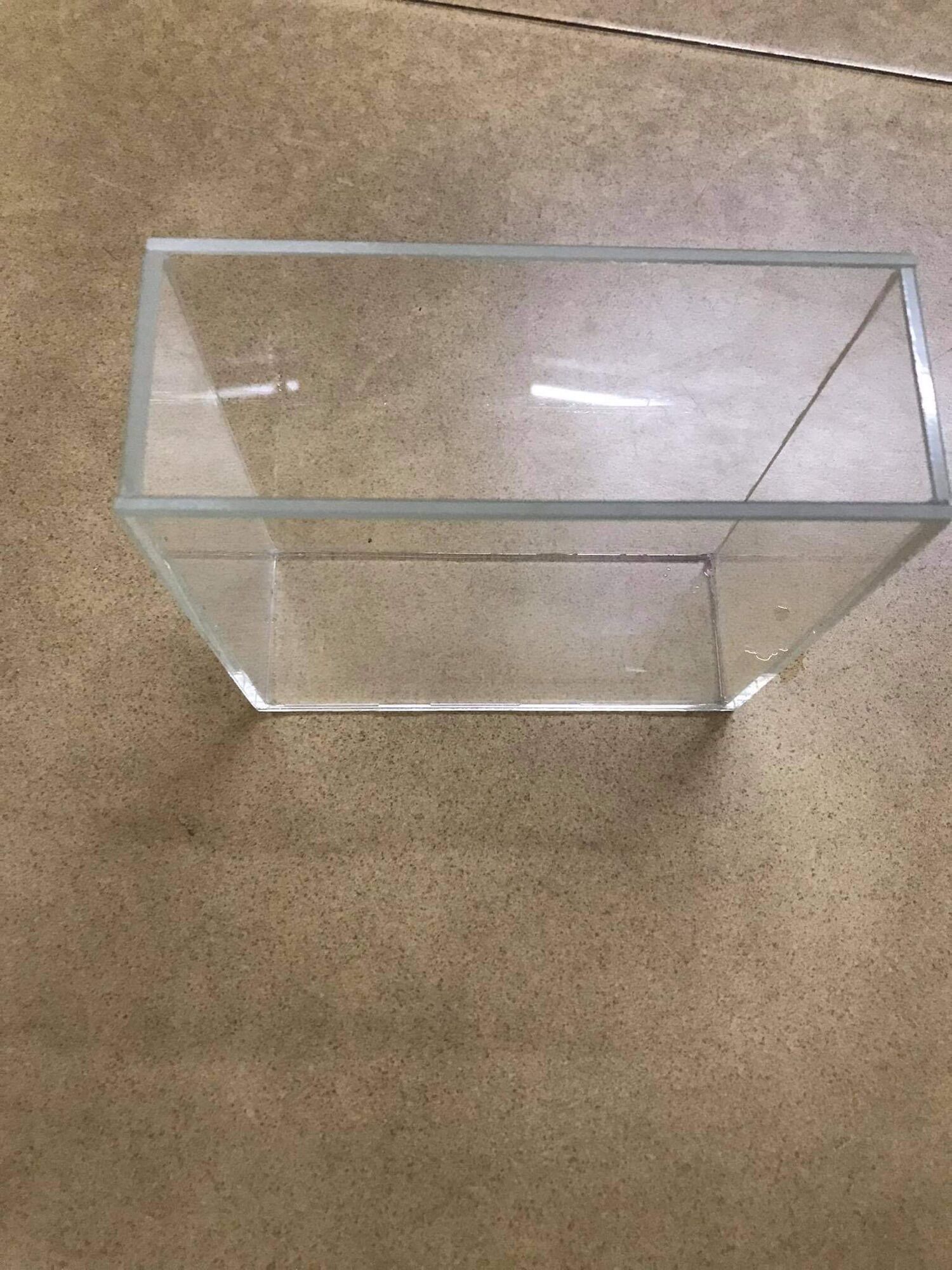 hồ kính siêu trong show cá guppy betta