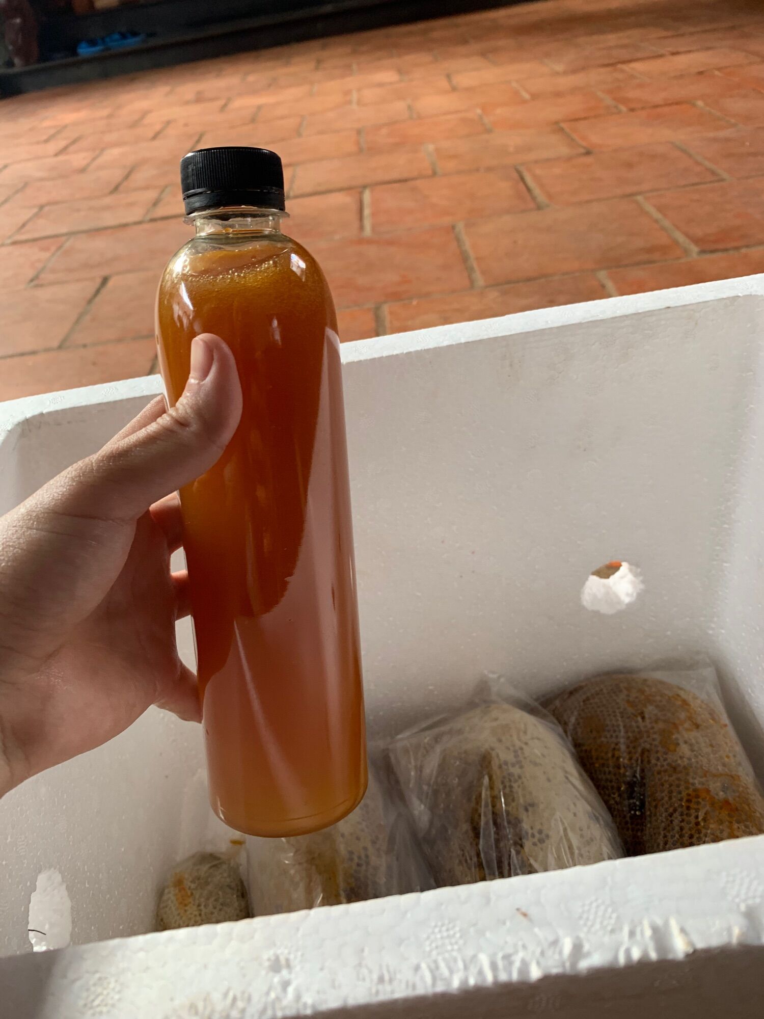 Mật ong ruồi rừng đăk lăk( 0,5lit)