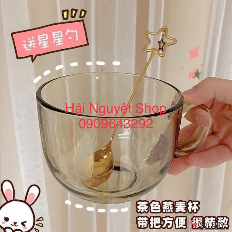 Ly / Cốc Thủy Tinh Có Quai Màu Hổ Phách 480ml