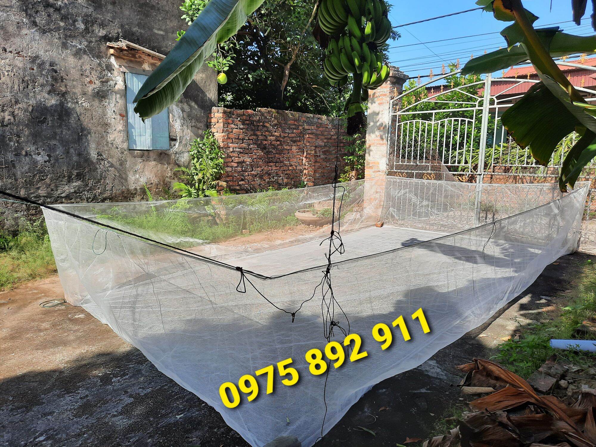 Tráng lồng vèo ươm cá bột , tôm trứng 8x4x1