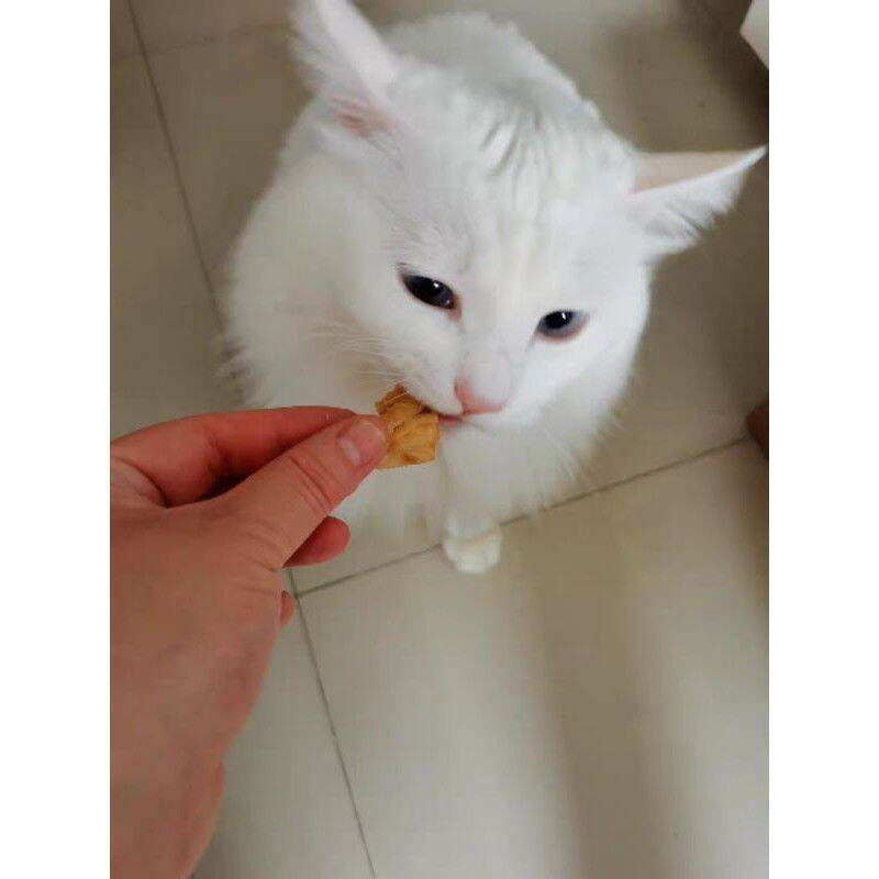 Cá Hồi Sấy Cho Cún Mèo - 50 Gram