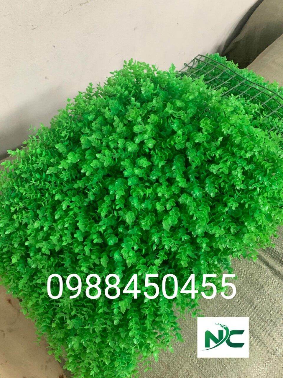 Thảm cỏ tai chuột dùng trang trí - kt 60x40cm