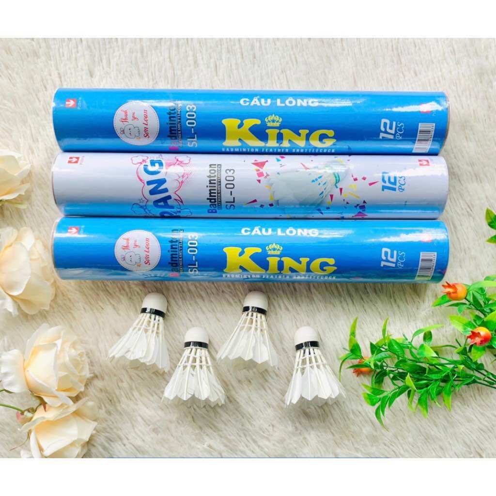 Set 2 quả cầu lông đánh vợt