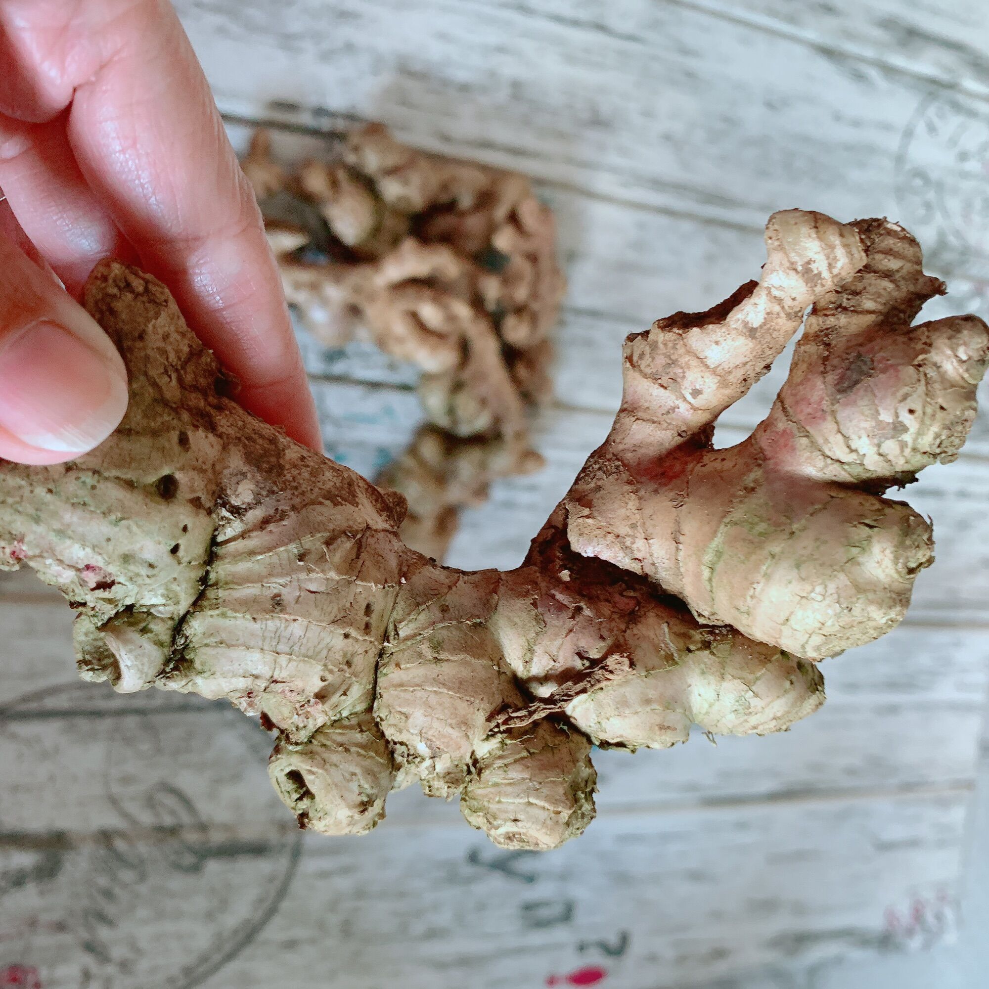 Gừng tươi nhà trồng 1kg