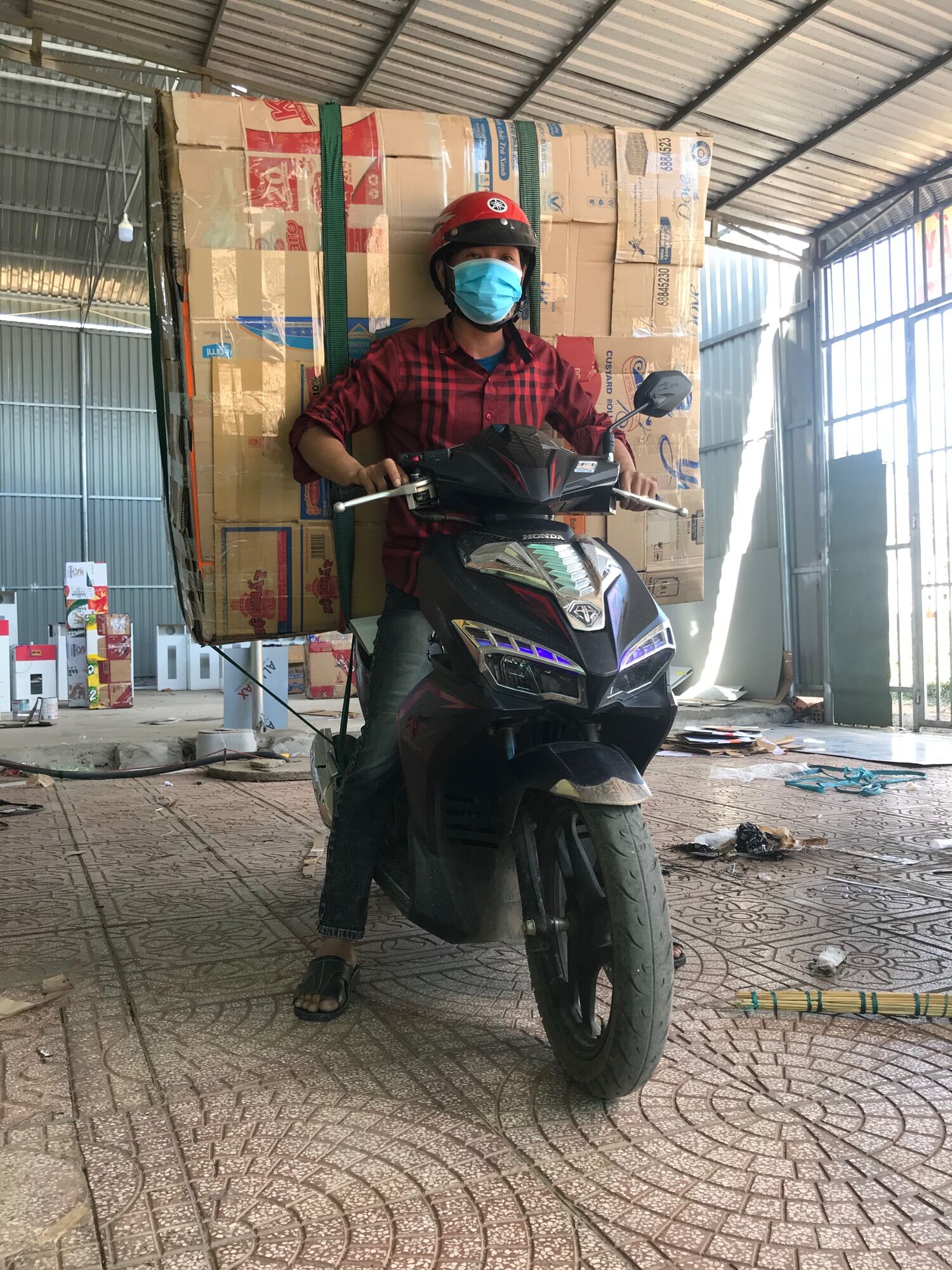Máy ấp trứng Fl200