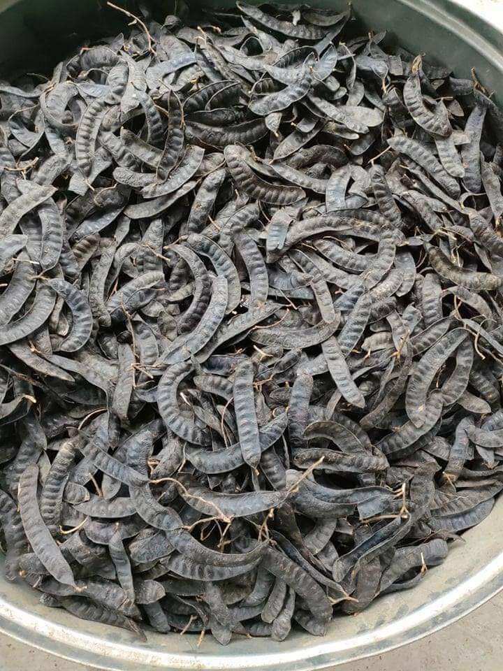 QUẢ BỒ KẾT KHÔ 1KG