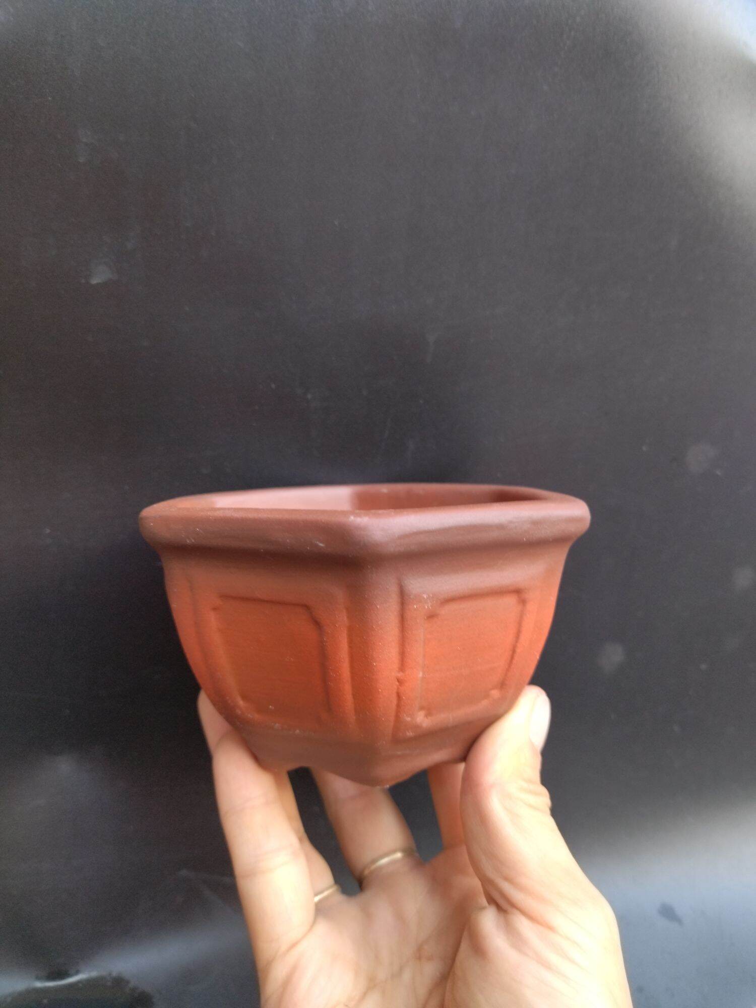 chậu lục giác bonsai