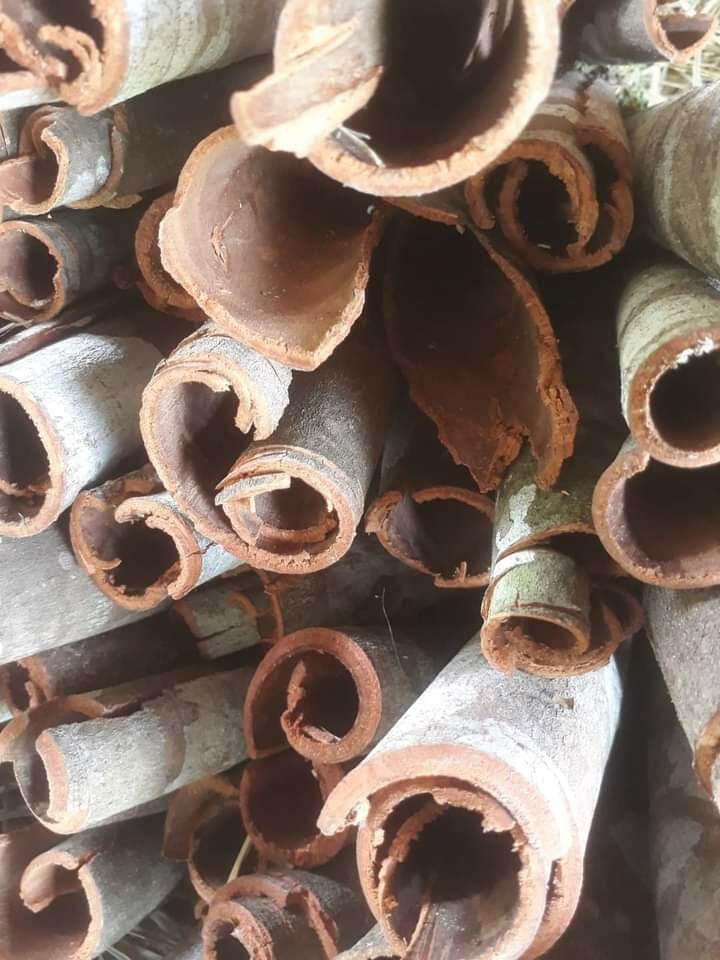 [ Shop Mới ] Quế Nhục - Vỏ Quế - Bột quế khô loại 1, thơm, sạch, mới ( 500g )