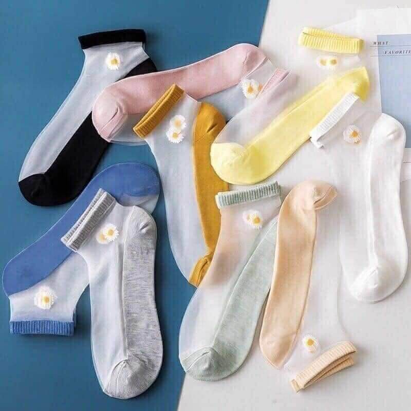 Set 10 đôi tất lưới nữ hoa cúc hoạ mi siêu xinh